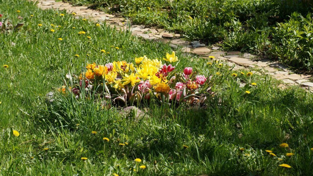 19.05.16_072_СПб_ Зоопарк.JPG