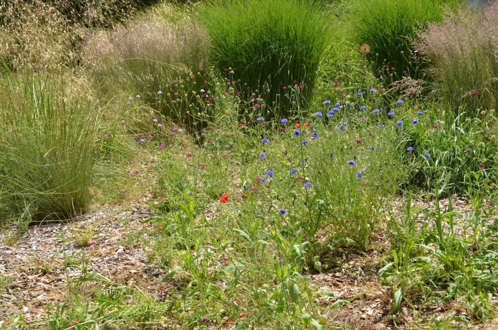 Тур 2AS 2019  часть 1 704.JPG