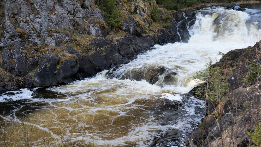 19.05.11_063_Карелия_водопад Кивач.JPG