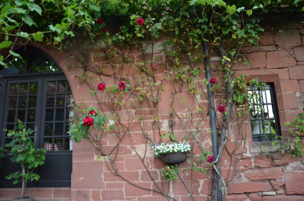 Тур 2AS 2019  часть 1 511.JPG