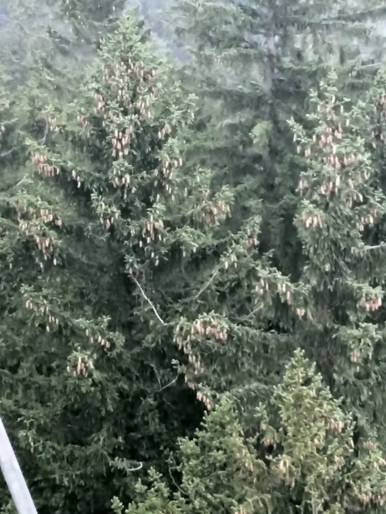 2019-08-22 21.14.20.jpg