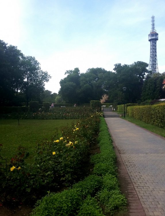 2019-08-21 10.44.19.jpg