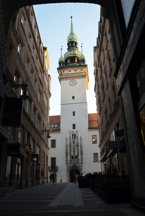 DSC_7975 — копия.JPG