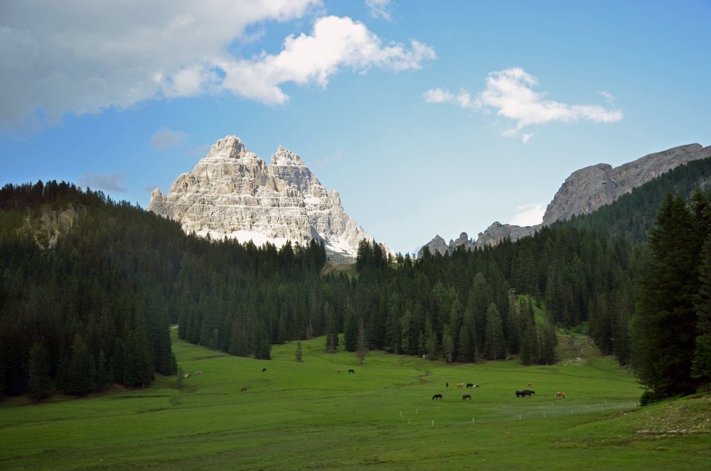 +DSC_0618 — копия.JPG