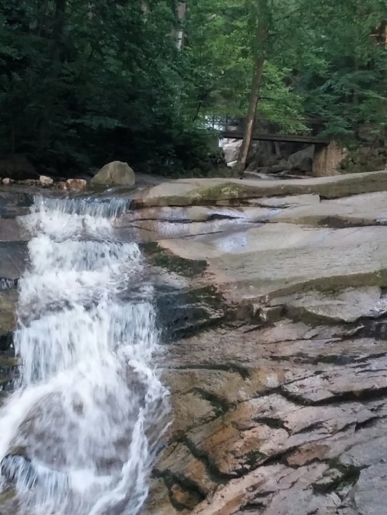 2019-08-28 09.09.00.jpg