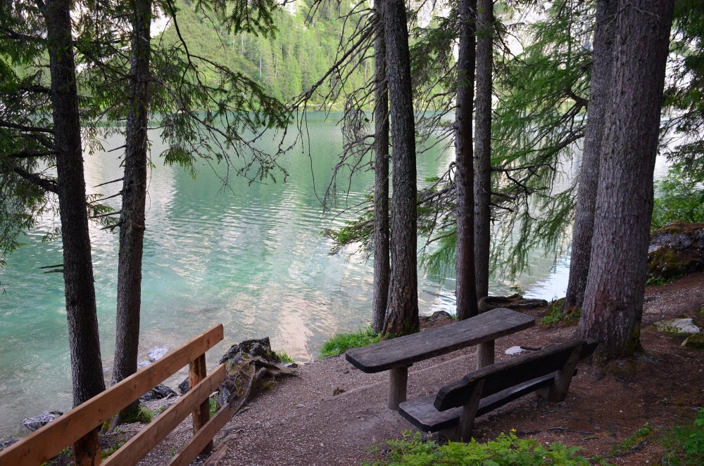 ++DSC_0776 — копия.JPG