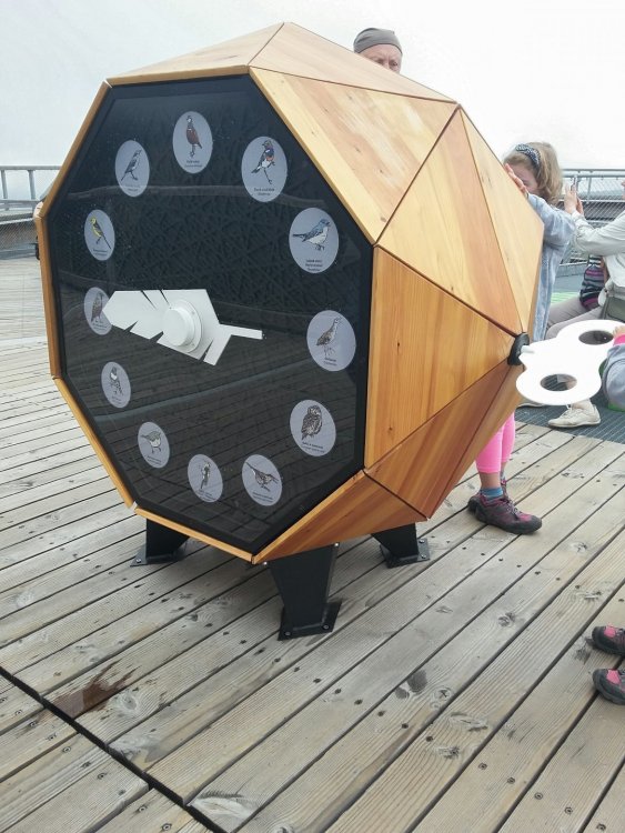 2019-08-22 21.14.52.jpg