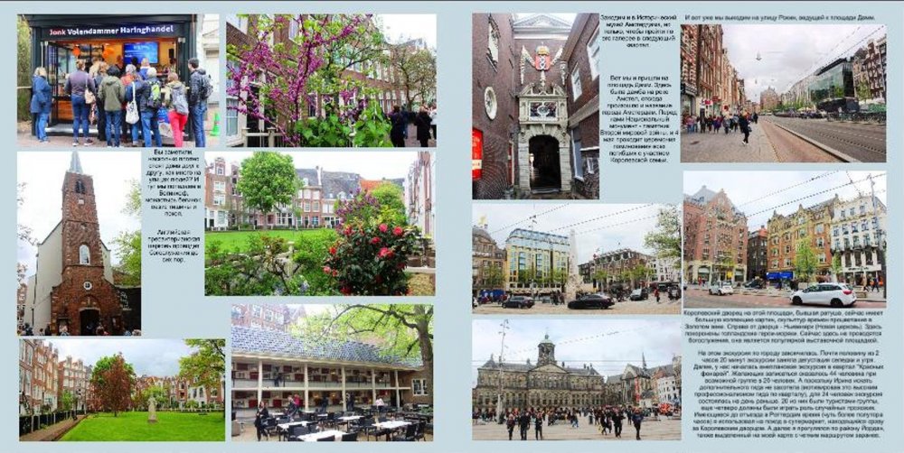 Голландио31.JPG