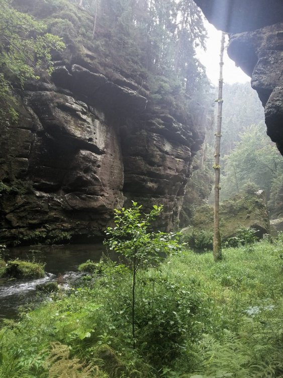 2019-08-21 13.32.23.jpg