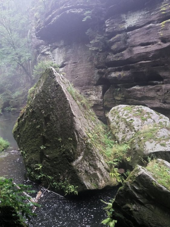 2019-08-21 13.31.24.jpg