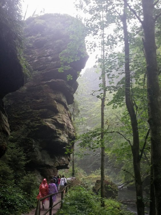 2019-08-21 13.30.00.jpg