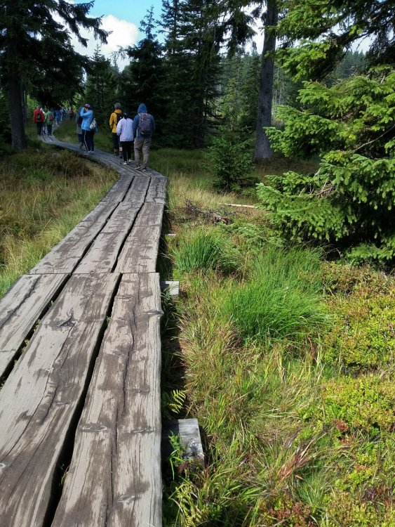 2019-08-27 08.28.57.jpg