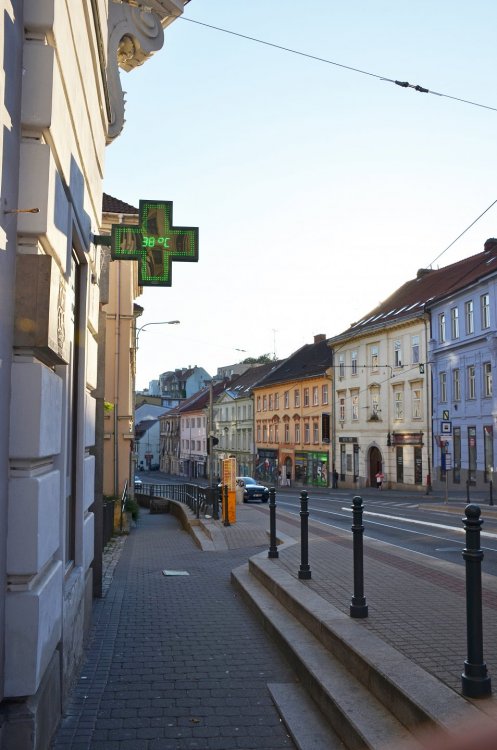 DSC_7864 — копия.JPG