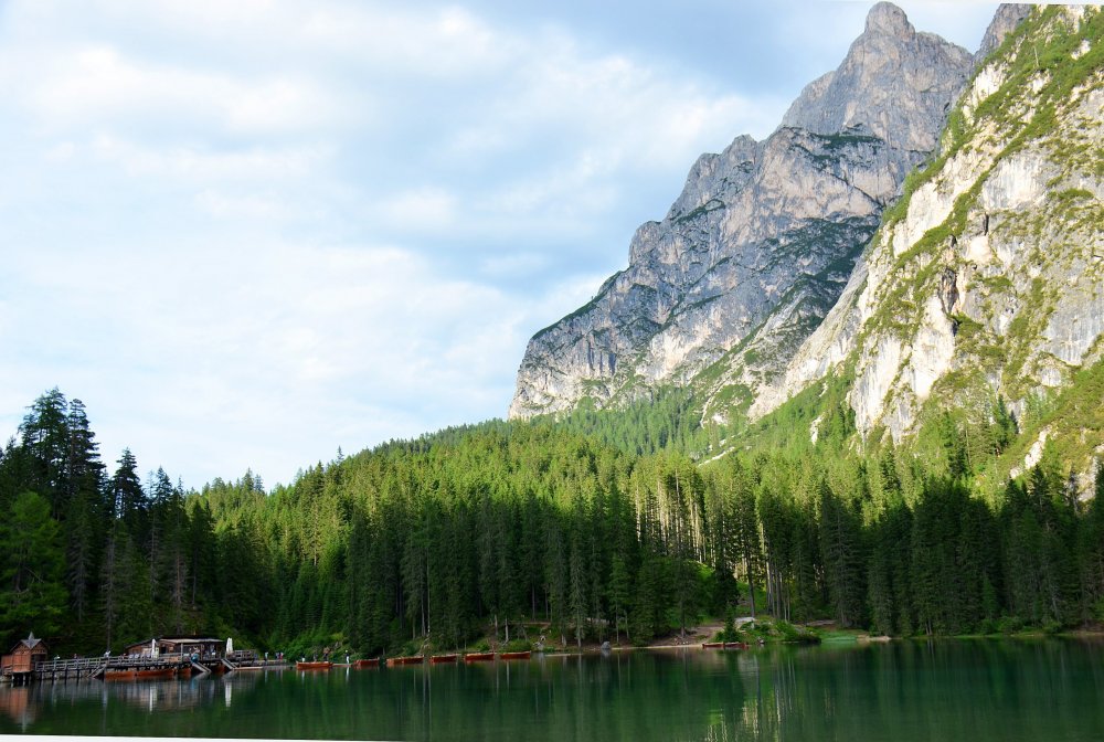 +DSC_0896 — копия.JPG