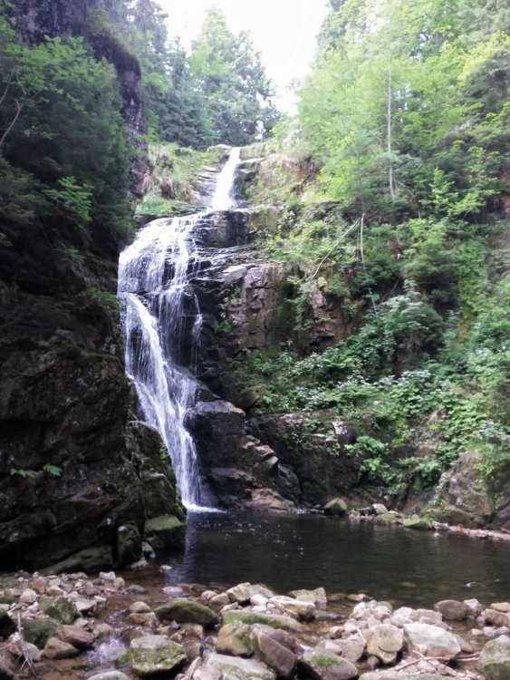 2019-08-28 08.49.51.jpg