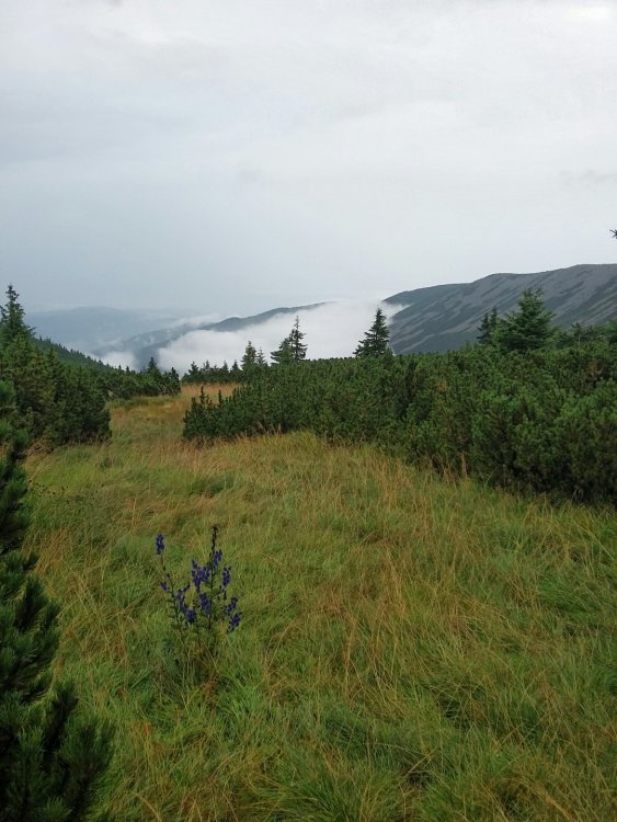 2019-08-22 21.19.31.jpg