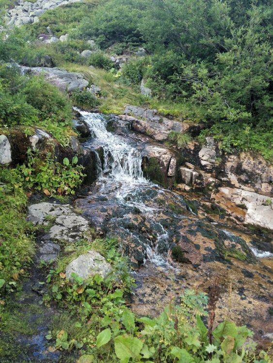 2019-08-27 09.50.41.jpg