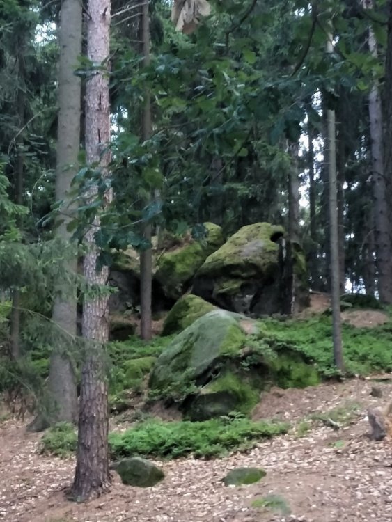 2019-08-22 13.12.53.jpg