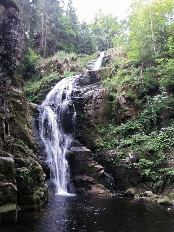 2019-08-28 08.50.20.jpg