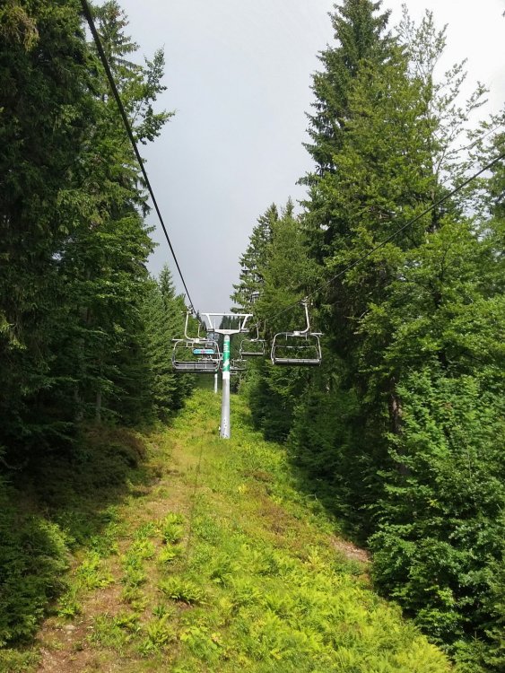 2019-08-27 08.27.54.jpg