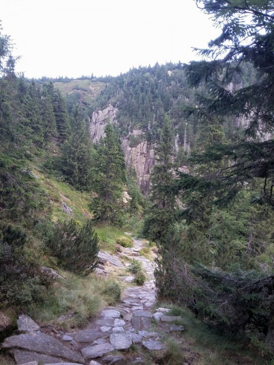 2019-08-27 09.53.56.jpg