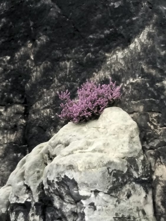 2019-08-21 18.10.47.jpg