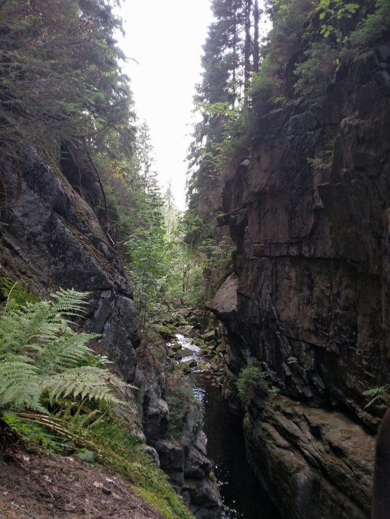 2019-08-28 08.49.20.jpg