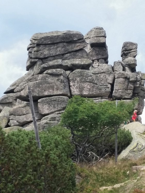 2019-08-28 09.01.49.jpg