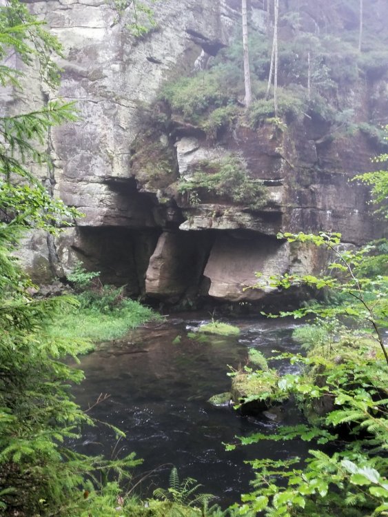 2019-08-21 13.35.05.jpg