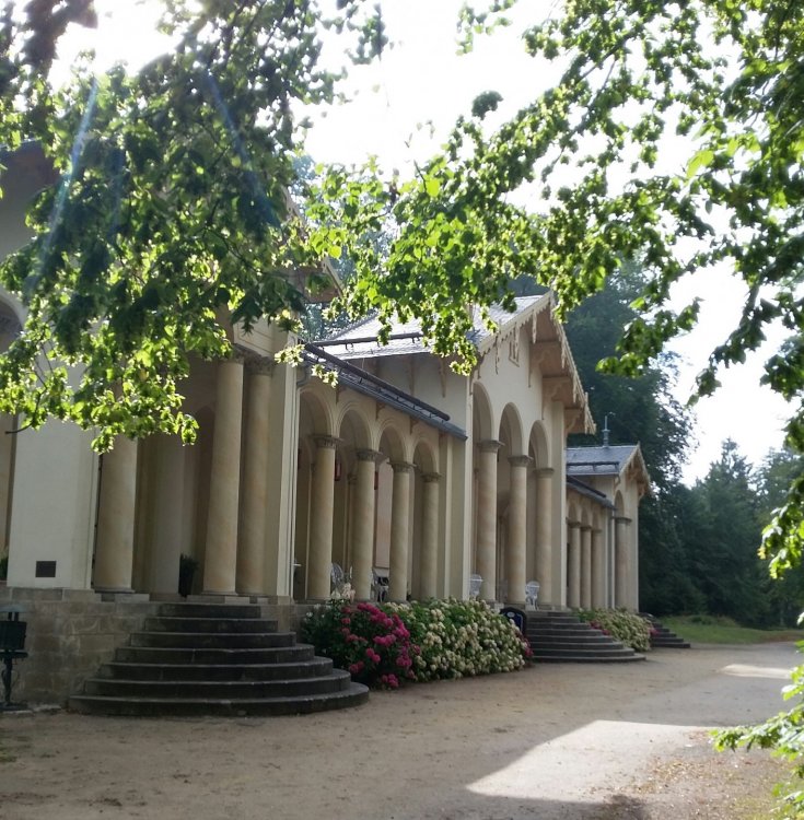 2019-08-22 13.01.45.jpg