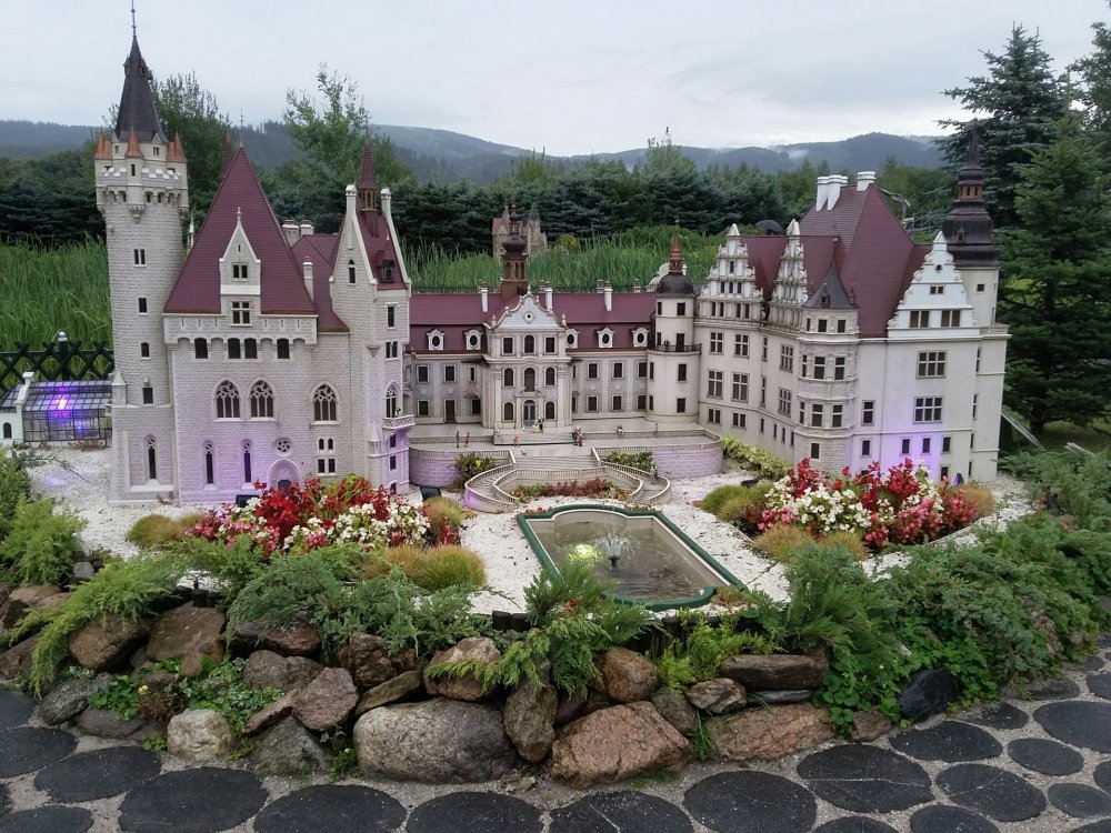 2019-08-24 08.01.16.jpg