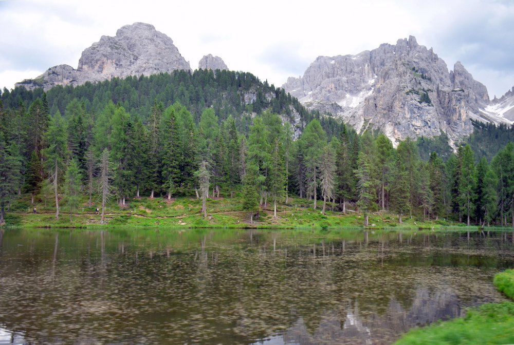 +DSC_9898 — копия.JPG