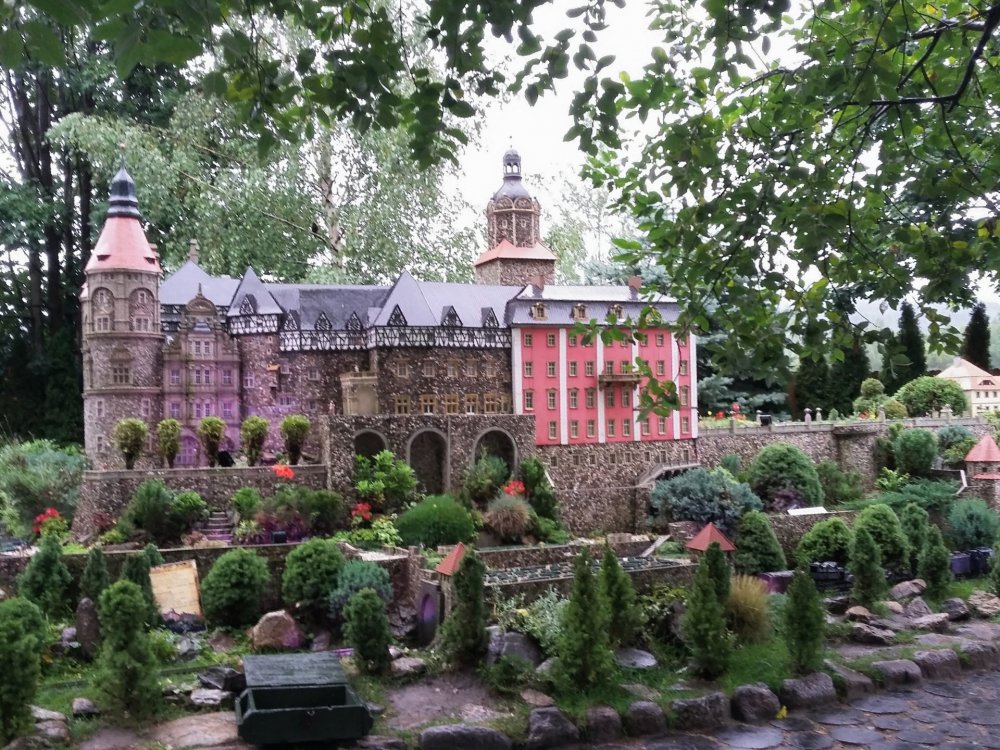 2019-08-24 08.02.15.jpg