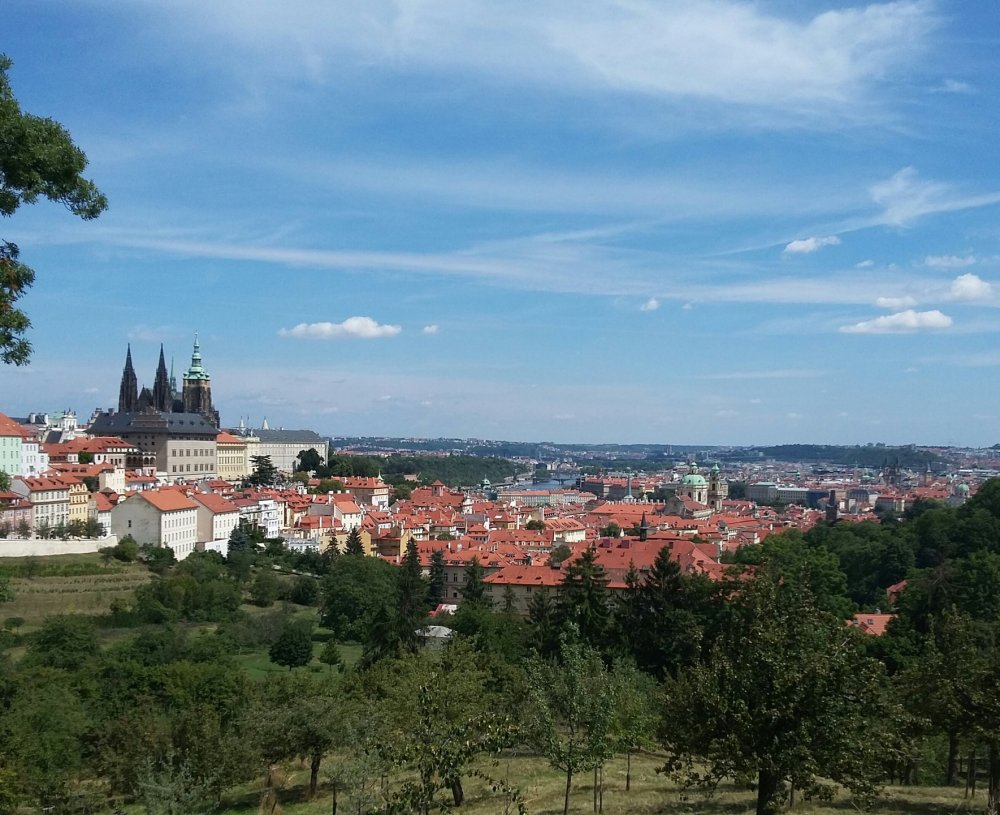 2019-08-20 13.12.50.jpg