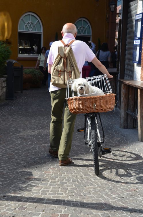 DSC_9278 — копия — копия.JPG