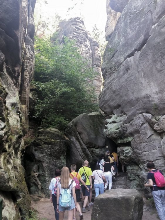 2019-08-22 20.20.51.jpg