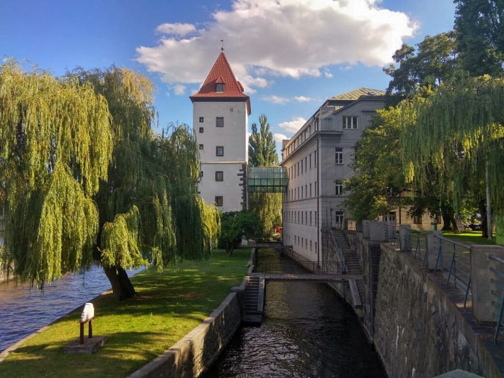 2019-08-21 12.04.58.jpg