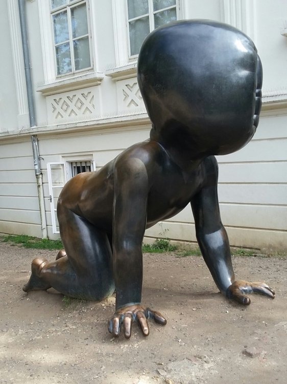 2019-08-21 12.03.16.jpg