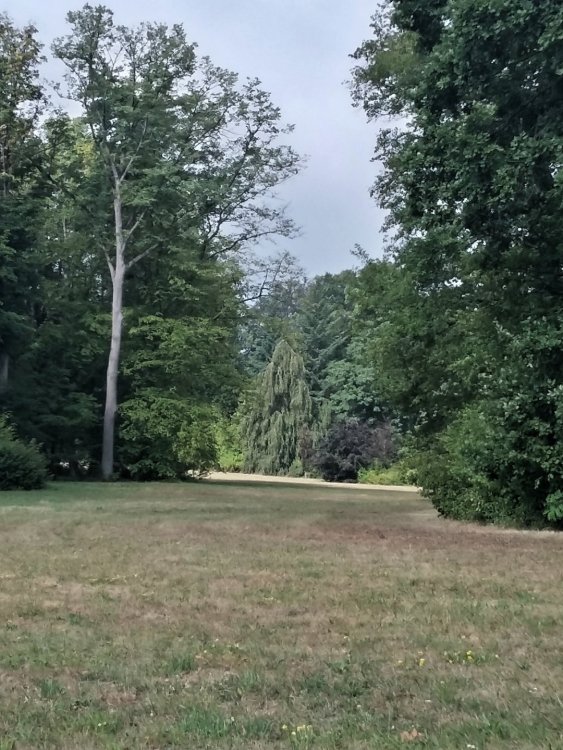 2019-08-22 13.02.44.jpg