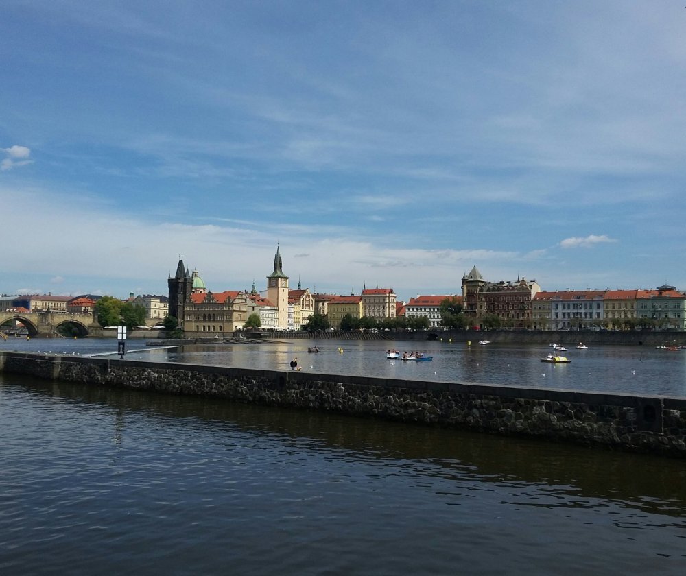 2019-08-19 19.20.07.jpg