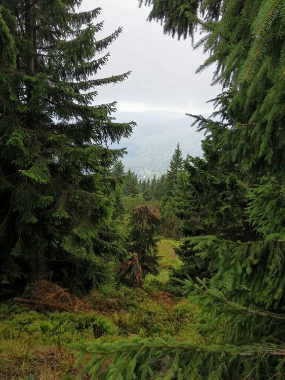 2019-08-27 08.29.53.jpg