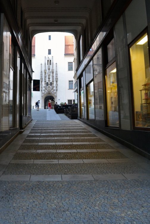 DSC_7973 — копия.JPG