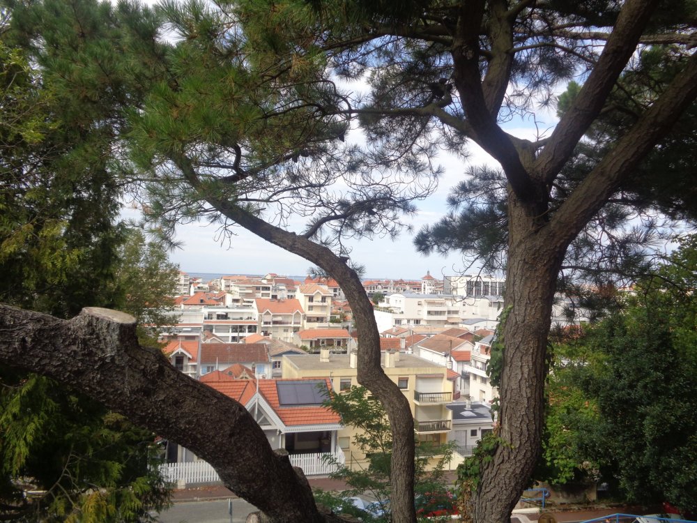 7 уже арк2.JPG