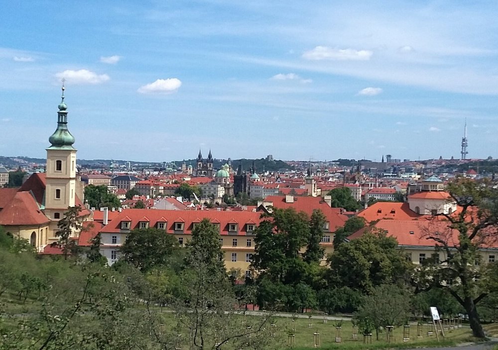 2019-08-21 10.48.51.jpg