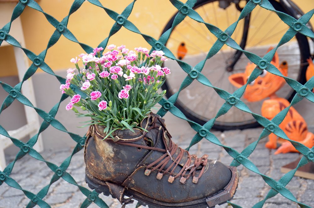 +DSC_8306 — копия.JPG