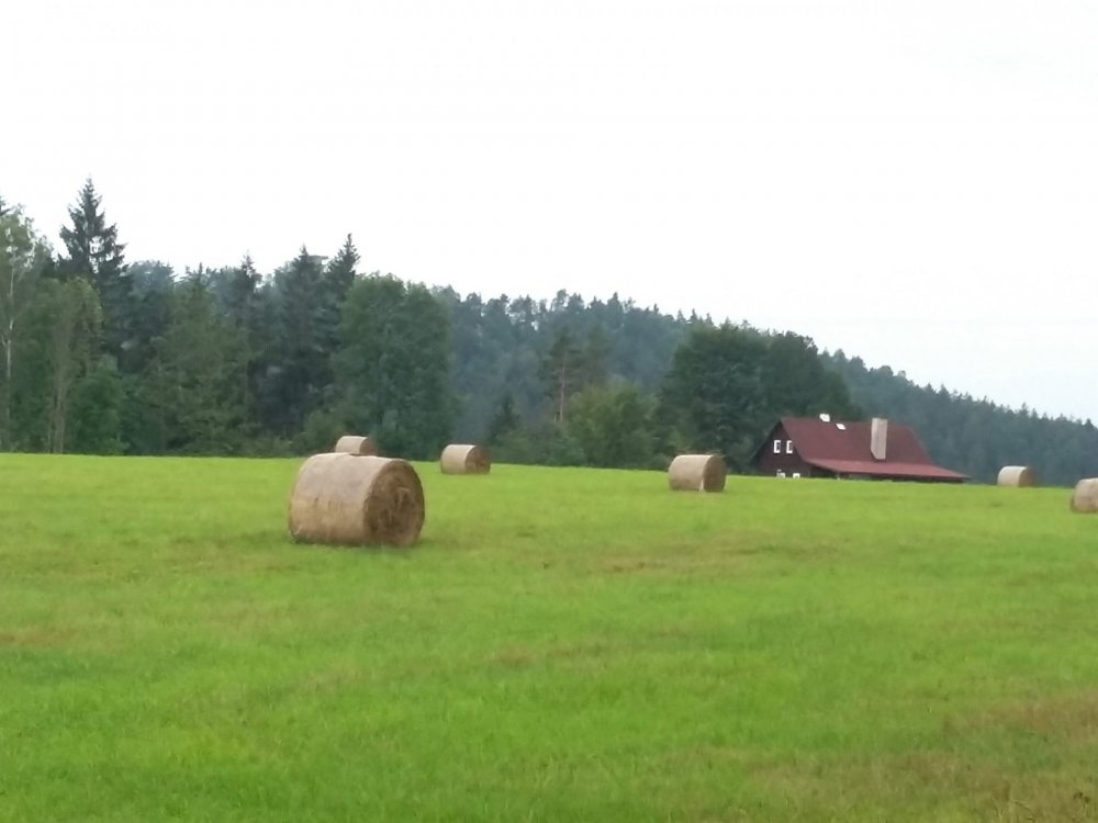 2019-08-21 13.27.55.jpg