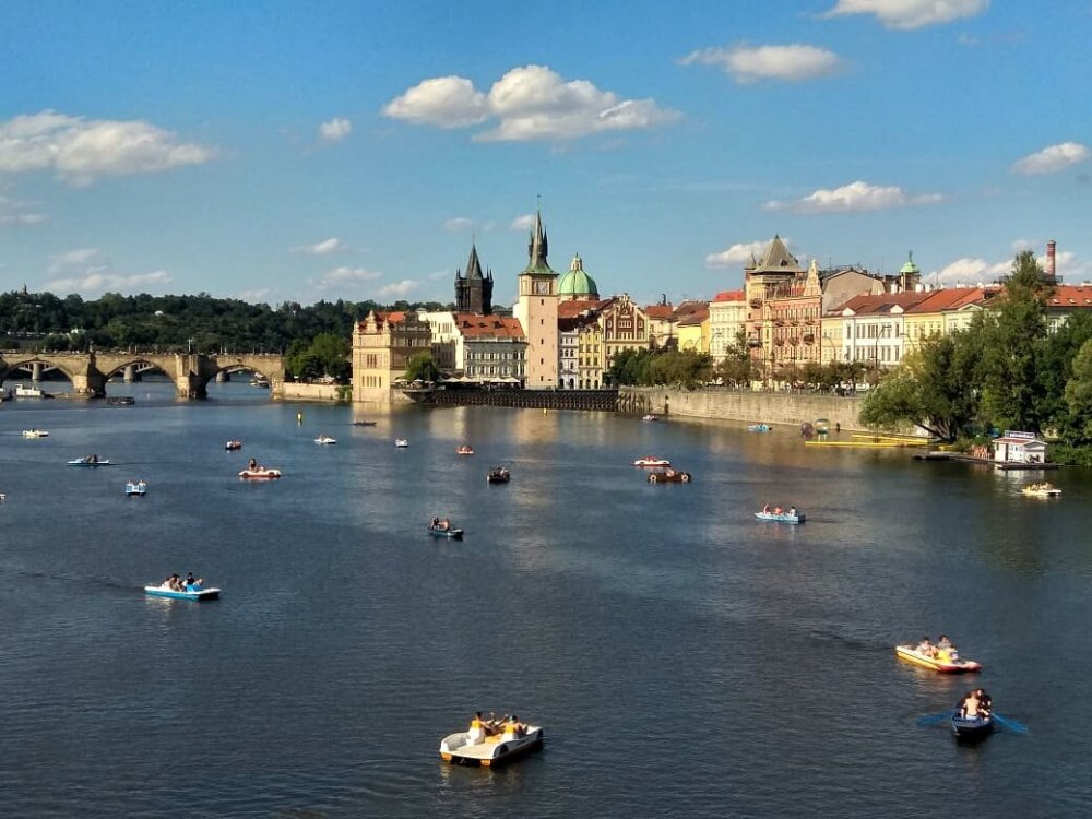 2019-08-21 12.05.29.jpg