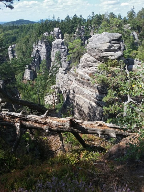 2019-08-22 13.12.04.jpg