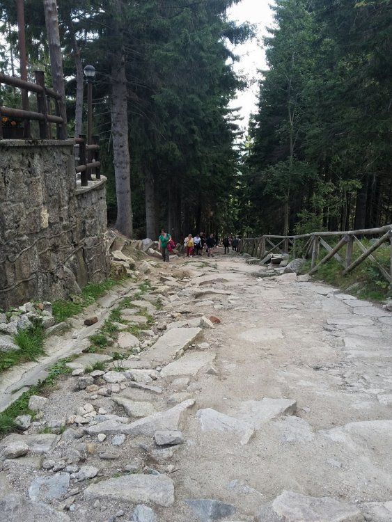 2019-08-28 08.52.00.jpg