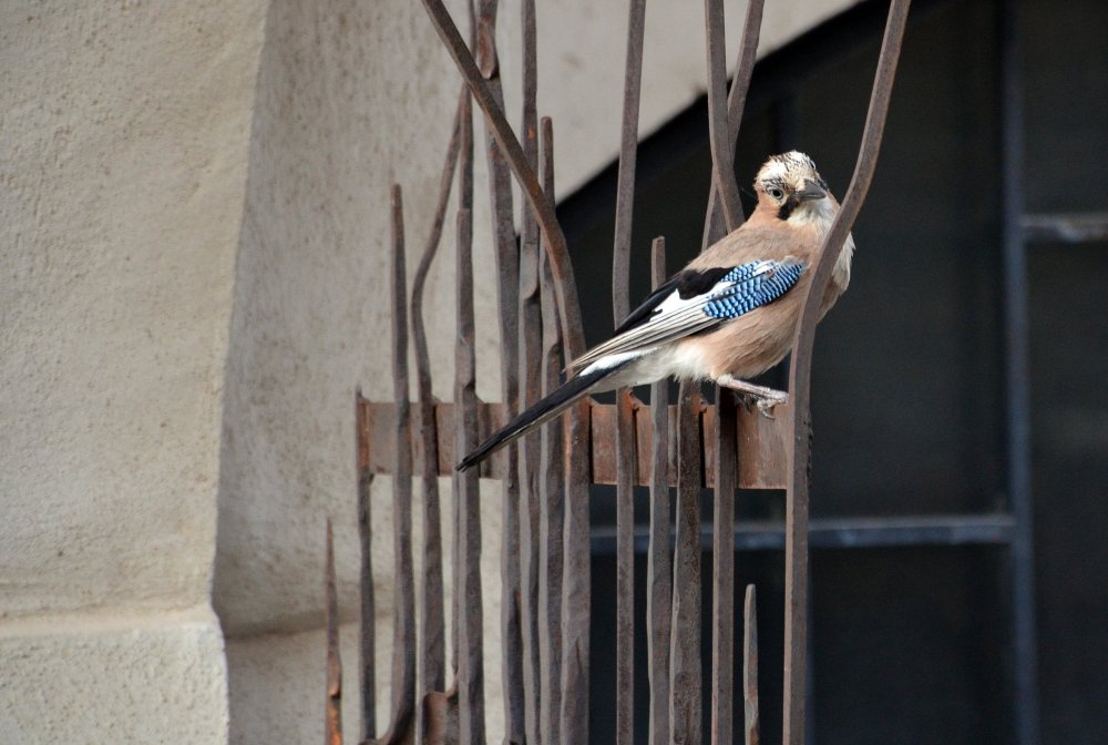 DSC_7900 — копия.JPG